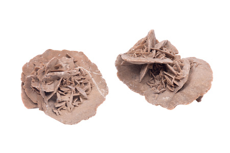 Gypsum desert sand rose isolated on white backgroundの写真素材