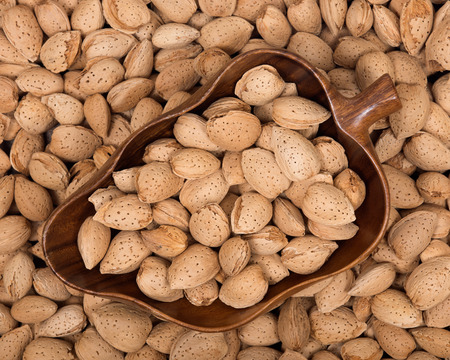 Raw almonds in shell in wooden vintage bowl on almonds background