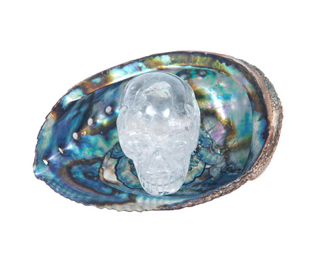 Clear quartz skull in bright polished rainbow abalone shell isolated on white backgroundの写真素材