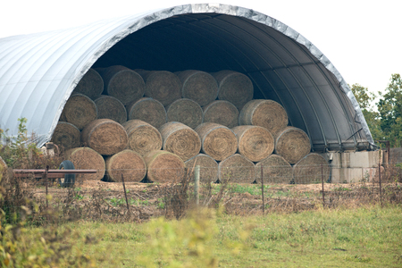 Proces of harvesting, stacked hay bales for feeding animalsの写真素材