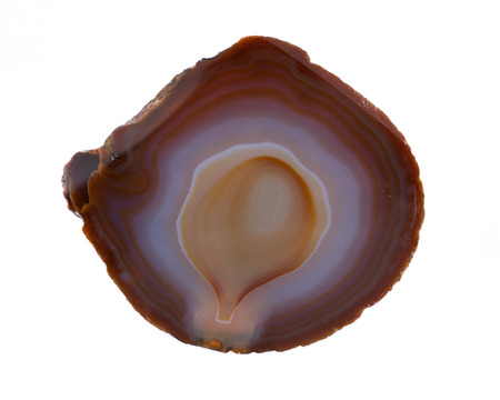 Polished multicolor agate slice isolated on white backgroundの写真素材