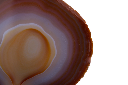 Polished multicolor agate slice isolated on white backgroundの写真素材