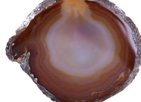Polished multicolor agate slice isolated on white backgroundの写真素材
