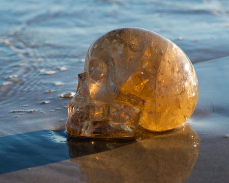 Natural Citrine  Quartz skull lying on wet sand on the beach at sunrise.の写真素材