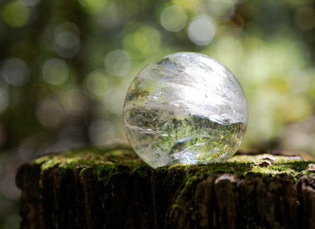 Lemurian Clear Quartz Sphere crystal magical orb on moss, bryophyta and bark, rhytidome in forest preserve.の写真素材