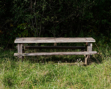 Lonely wooden bench for relax in forest preserve