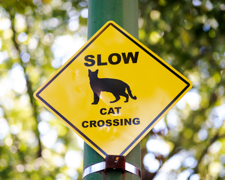 Traffic sign for drivers on quiet residential street: Slow! Cat Crossing. Animal lovers.の写真素材