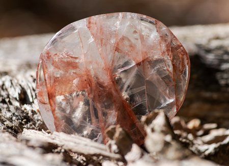 Polished quartz flat palm stone with red hematite inclusions from Madagascar on fibrous tree bark in the forest.の写真素材