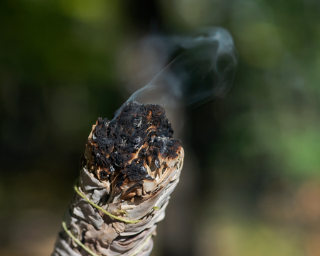 Smudging ritual using burning thick leafy bundle of white sage in forest preserve.の写真素材