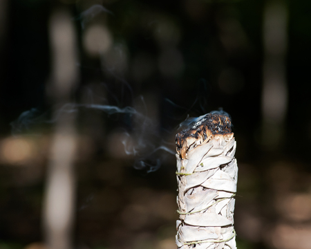 Smudging ritual using burning thick leafy bundle of white sage in forest preserve.の写真素材