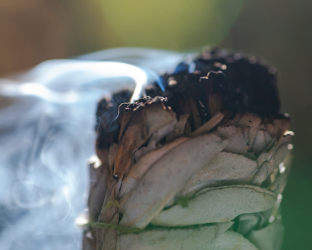 Smudging ritual using burning thick leafy bundle of white sage in forest preserve.の写真素材