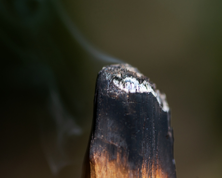 Smudging ceremony using Peruvian Palo Santo holy wood incense stick in forest preserve.の写真素材
