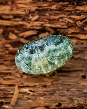 Green polished Seraphinite specimen  from Eastern Siberia in Russia on fibrous tree bark in the forest. Gem quality clinochlore of the chlorite group.の写真素材