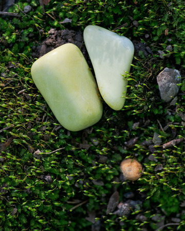 Tumbled yellowish Serpentine stone from Peru on green moss in the forest preserve.の写真素材