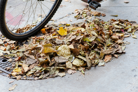 Sweeping dry fallen leaves, autumn sidewalk cleaning in big city.の写真素材