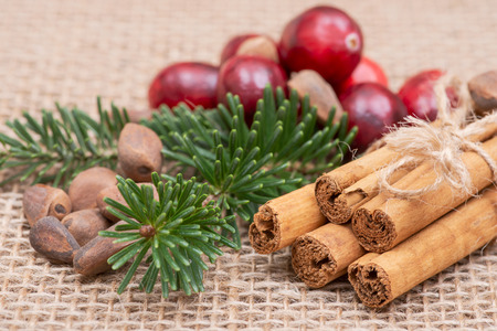 Winter holiday decoration: fraser fir twig, cinnamon sticks, cranberries and pine nuts in shell on burlap backgroundの写真素材