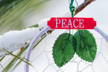 Winter holiday decoration concept: dream catcher with sign peace and frozen snow covered pine tree twigs in forest preserve park.の写真素材