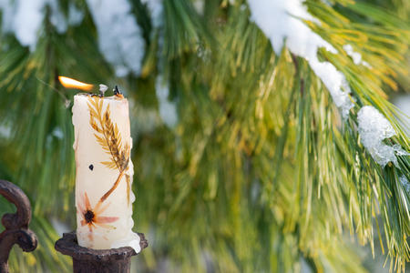 Winter holiday decoration concept: burning beeswax candle close to frozen snow covered pine trees in forest preserve park.の写真素材