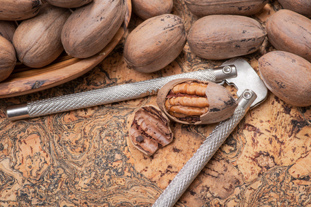Fresh organic pecans nuts and stainless steel nutcracker on natural cork background.の写真素材