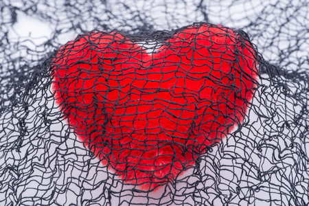 Red fluffy heart and creepy black cotton web cloth.の写真素材