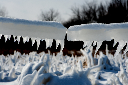 Closeup of icicles covering security fence on a sunny winter day.の写真素材