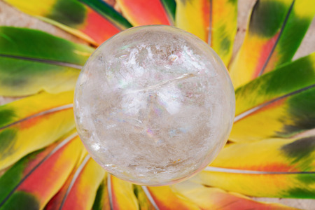 Lemurian Clear Quartz Sphere crystal magical orb in the middle of a circle made of colorful parrot...