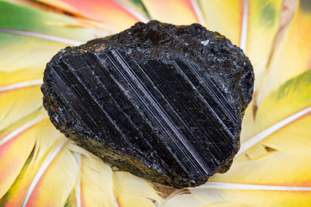 Extra Grade Black Tourmaline chunk from Brazil in the middle of a circle made of colorful parrot...