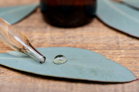 Eucalyptus Essential oil in Amber Round Glass Bottle with Glass Dropper and Fresh Eucalyptus leaves...