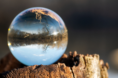 Clear Quartz Sphere on bark, rhytidome,  reflecting lake, forest and sky.の写真素材