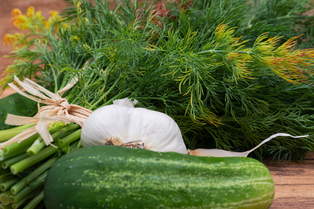 Fresh Organic Garlic, Cucumber and Dill tied with a straw, on wooden background.の写真素材