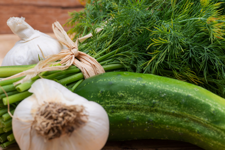 Fresh Organic Garlic, Cucumber and Dill tied with a straw, on wooden background.の写真素材