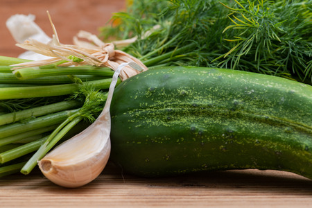 Fresh Organic Garlic, Cucumber and Dill tied with a straw, on wooden background.の写真素材