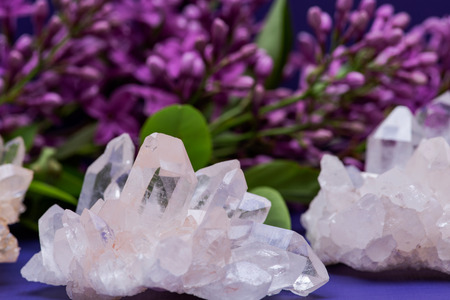 Himalayan Clear Quartz Clusters with Hematite inclusions surrounded by purple lilac flowers.