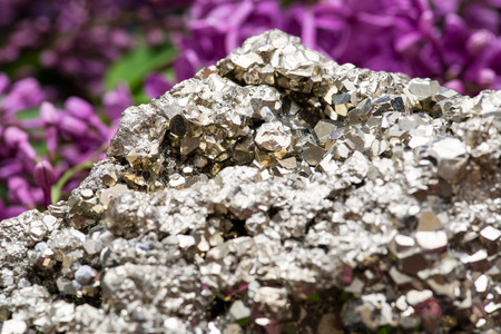 Natural Pyrite Cluster Specimen from Peru surrounded by purple lilac flowers.の写真素材