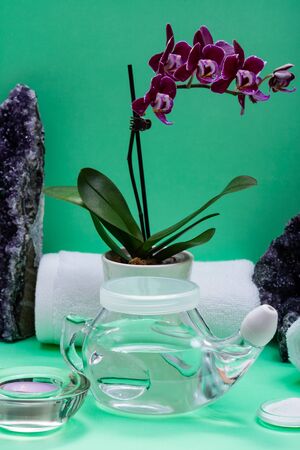 Neti Pot, pile of Saline, rolled White Towels, Purple Orchid Flowers and Lavender Tea Light Candle on green background. Sinus wash. Nasal irrigation.の写真素材