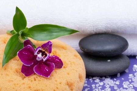 Spa Wellness Concept. Natural Foam Bath & Shower Sea Sponge, stacked Basalt Stones, Bamboo, Orchid Flower and Lavender Epsom Salt on purple backgroundの写真素材