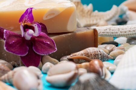 Handmade moisturizing Almond and Frankincense & Myrrh Goat's Milk Soap Bars decorated with small Pebbles, Sea Stars and Sea Shells on blue background.の写真素材
