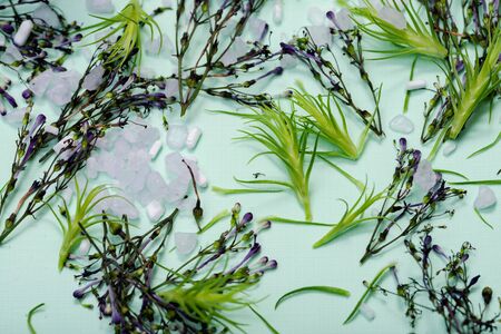 Wellness Relax concept with Spa elements. Real Fresh Flower Sprinkles Confetti and sprinkled Lavender Epsom Salts on green background.の写真素材