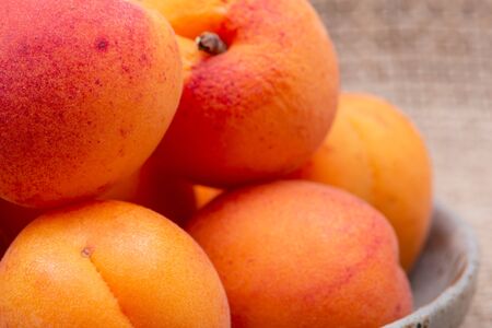 Fresh Ripe Organic Apricots on burlap background. Genus Prunus.の写真素材