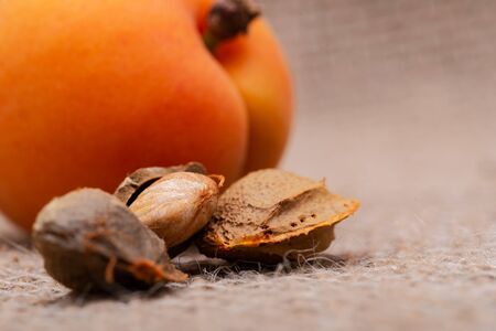 Fresh Organic Apricots and Apricot Kernels (the seed of an apricot, often called a stone) on natural...