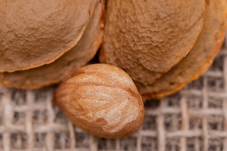Dried Apricot Kernels (the seed of an apricot, often called a stone) on natural burlap background....
