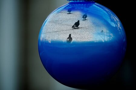 Outdoors Winter Holiday concept: Ornament Decoration in the form of Christmas Vintage Tree Balls.の写真素材