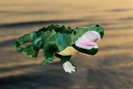 Green soft stuffed toy Crocodile at the sunrise in front of the lake.の写真素材