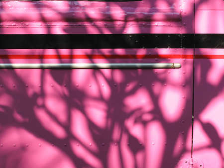 Shadow of a tree on a pink backgroundの写真素材