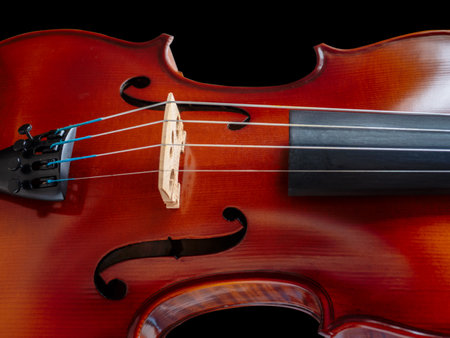 Close up shot of the Violin bridge made from maple woodの写真素材
