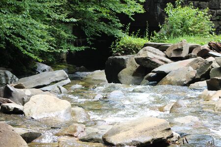 Waterの写真素材