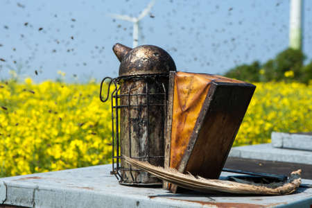 Beekeepers smoker on a beehive on rape fieldの写真素材