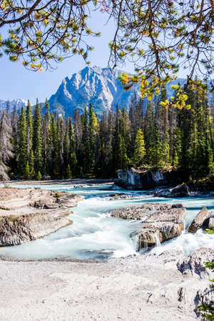 Natural Bridge along the way and admire the Kicking Horse River as it carves a path through ancient rock.の写真素材