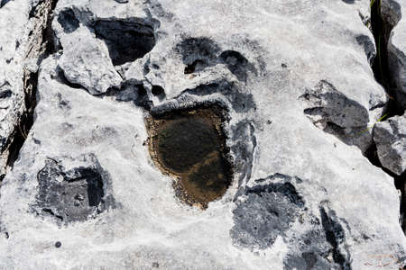 Burren region, Clare, Ireland - August 23, 2010: The Burren measures 250 square kilometres and is enclosed roughly within the circle made by the villages of Ballyvaughan, Kilfenora and Lisdoonvarna.の写真素材