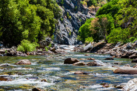 Redwood Creek at Kings Canyon Scenic Byway, Highway 180, Kings Canyon National Park, Southern Sierra Nevada, California, USA.の写真素材